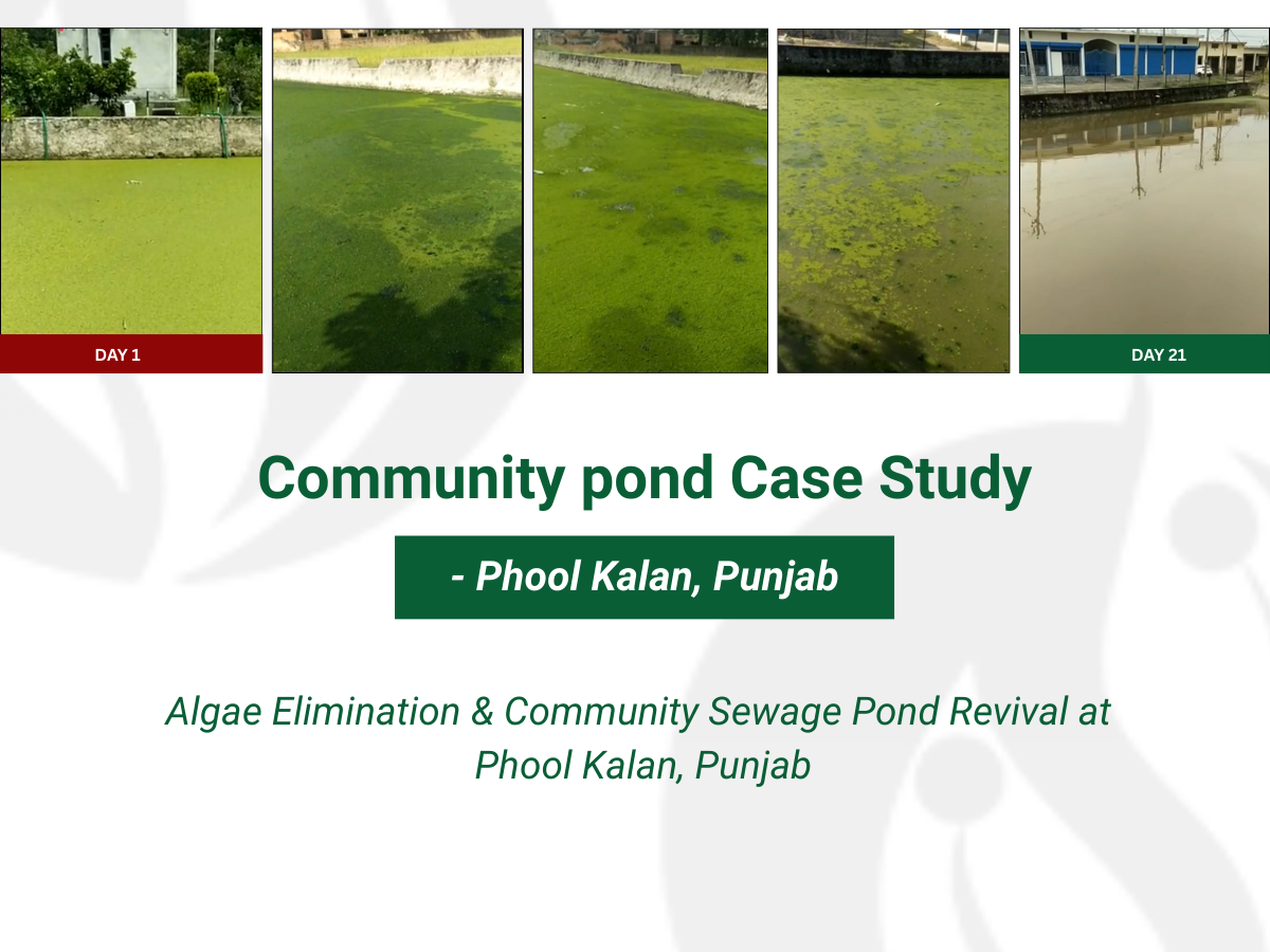 Case Study - Community, Phool Kalan, Punjab - NanoKriti