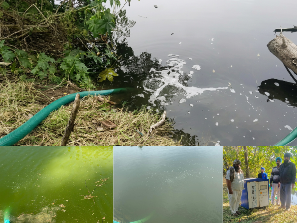 Case Study – Community Pond, Ghoga Village