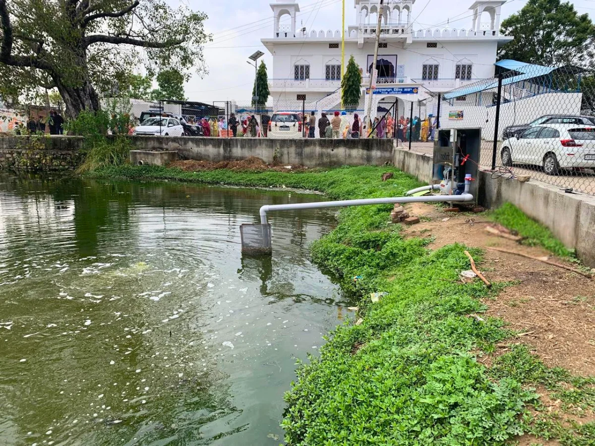 Case Study-  Mehrauli Community Sewage Pond, Punjab