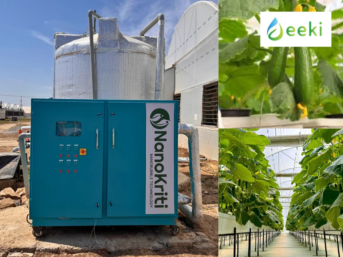 Oxygen Nanobubbles Enhanced Cucumber Yield and Fruit Quality in Aeroponic Cultivation.